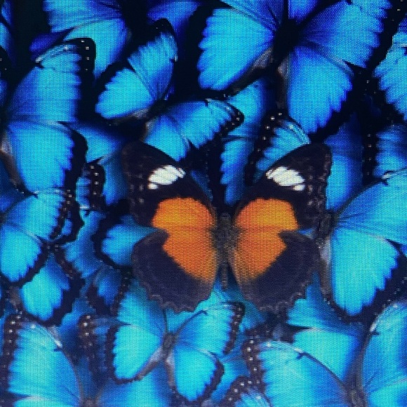 Hi I’m Kathryn! Welcome to my closet. - Picture 5 of 7